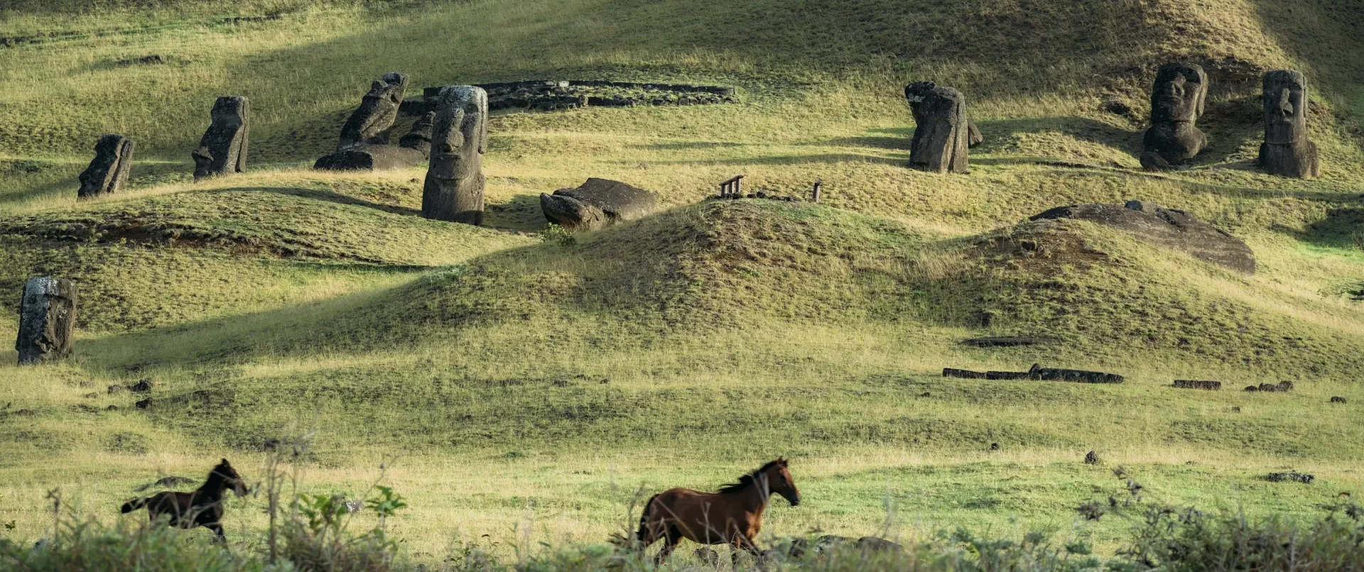 Land of the Moai