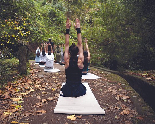 Yoga Parque Ecológico + Concerto