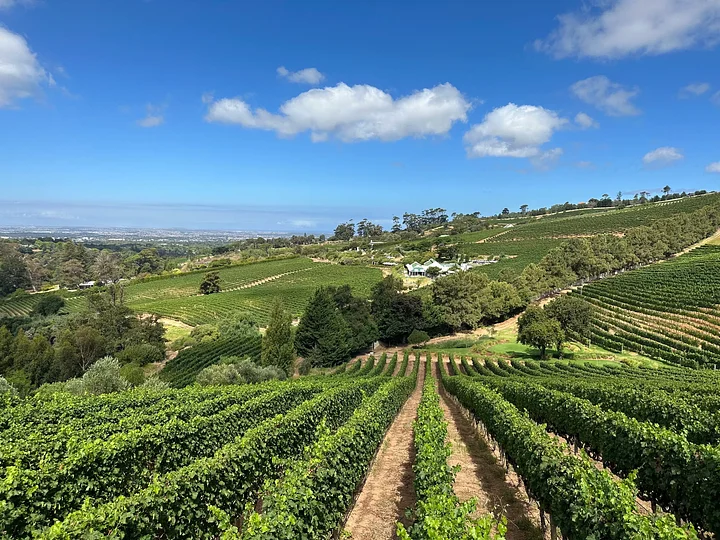 Flavours of Cape Town