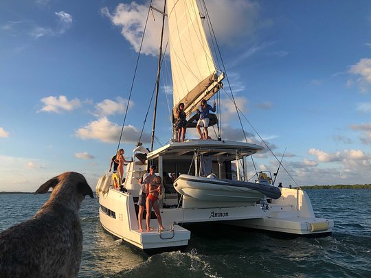 Catamaran trips