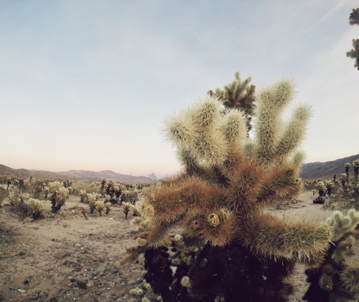markwiederwGxPDPlsFSQunsplash1