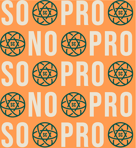 NO PRO, SO PRO