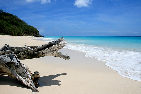 The Takeover XIII: Antigua