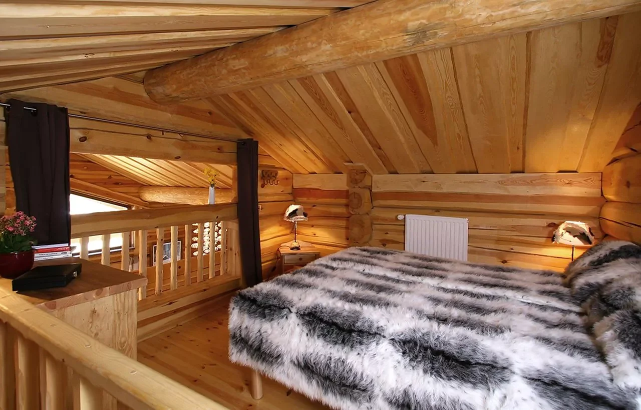 tmp47EB_locationlesdeuxalpeschaletodalyslesliealpen10