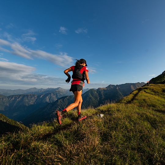 Trail Runs