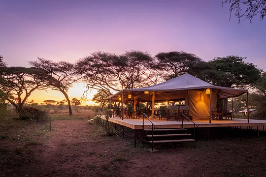 Tarangire Elephant Springs Camp