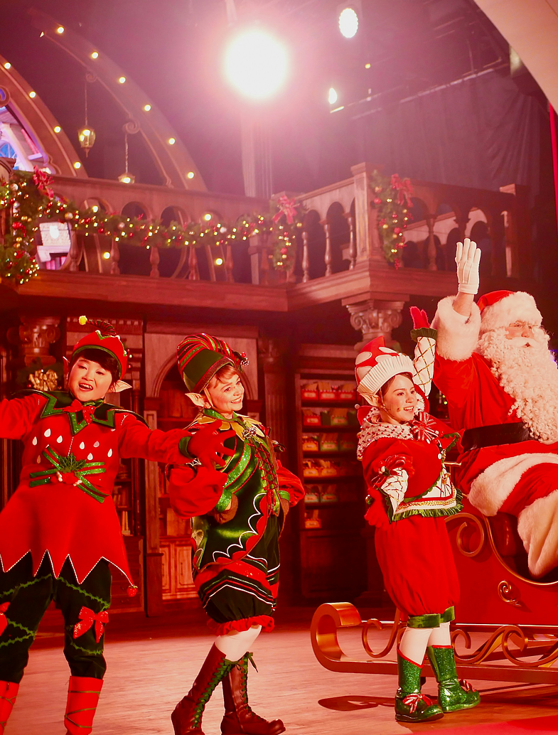 Santa's Kingdom at Swords Pavilions 2