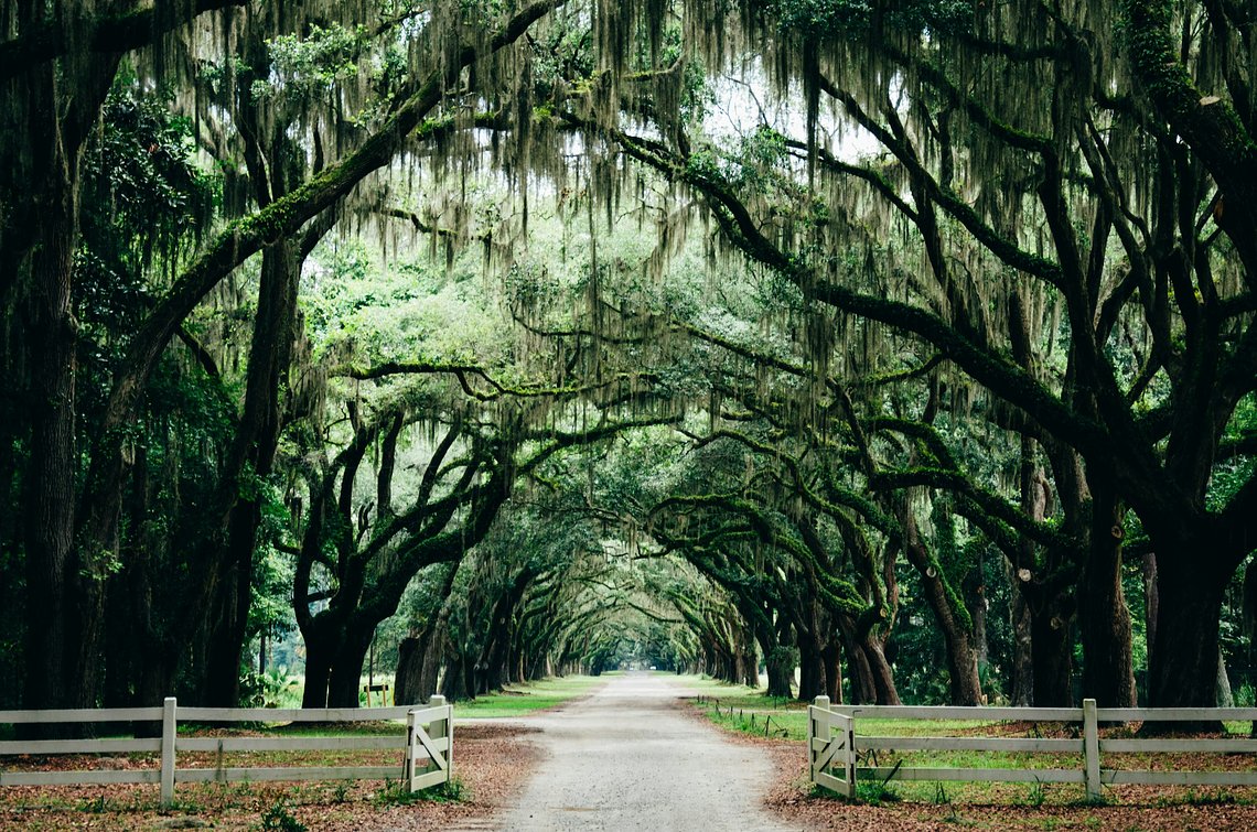 ashleyknedler9SW9IvKD9OYunsplash