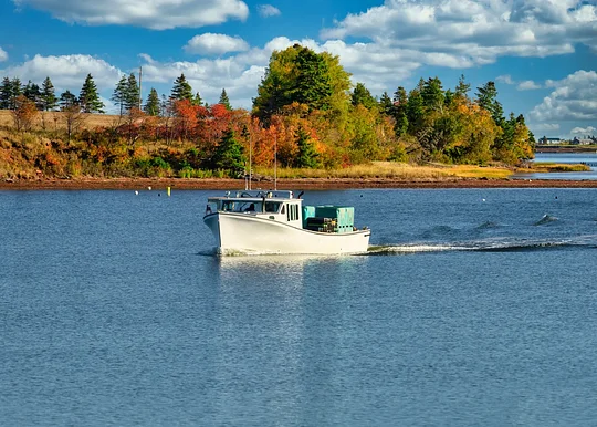 Head out to sea on a private boat, spending the morning deep-sea fishing and whale spotting