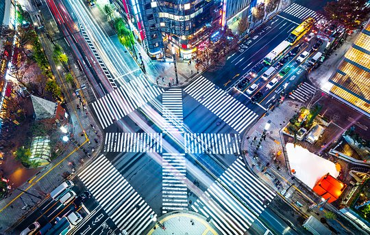 Experience Tokyo markets and get a bird's eye view of the city from the Shibuya Sky Tower 