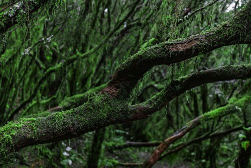 Visit to a natural park