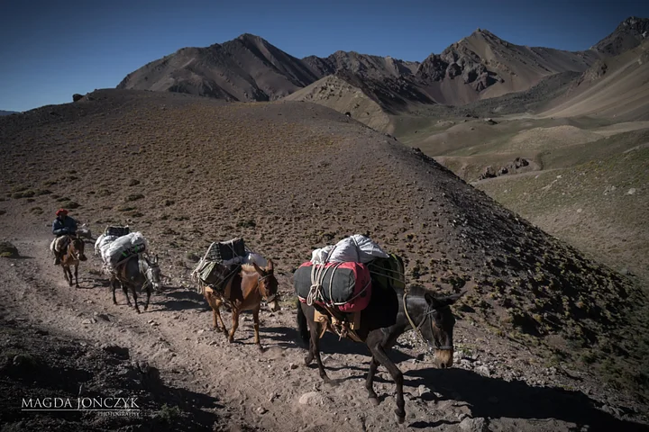 kookoo_climb_aconcagua_andes_argentina_itinerary_3