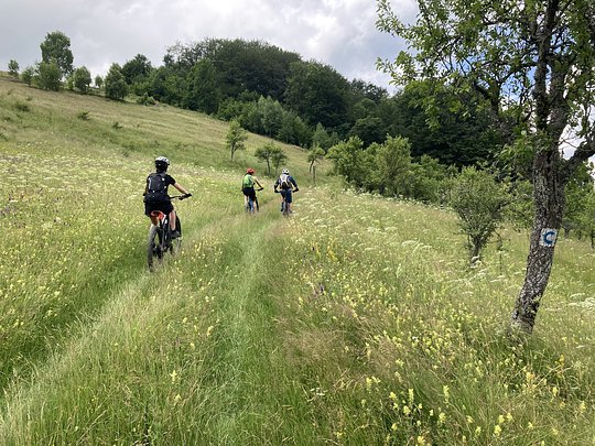 guided ebike tour with local picnic