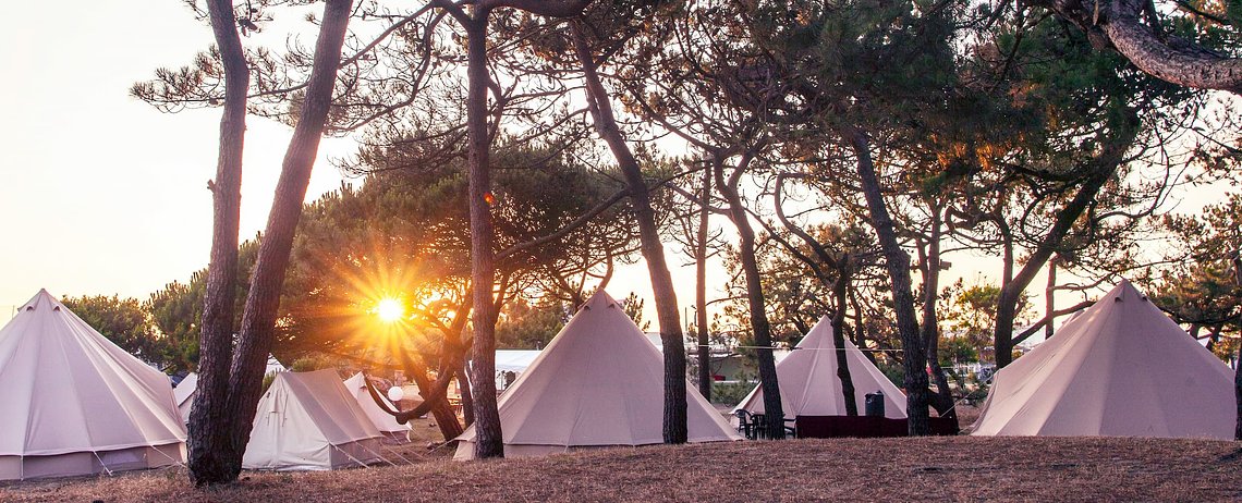 familysurfcamp