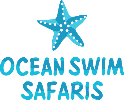 Ocean Swim Safaris