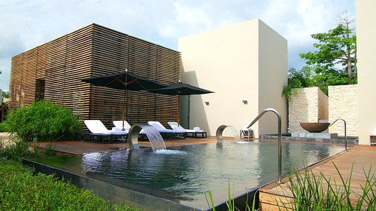 Wellness Activities