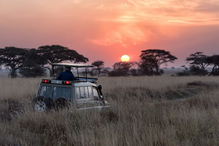 workremotetanzania