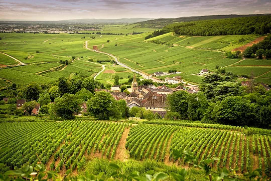 Stroll through the legendary vineyards of Chablis with a glass of crisp Chardonnay in hand