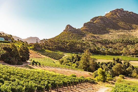 5 Day/4 Night Post-Trip Extension to Cape Town - Shared Room - Price is per person. Each guest must book individually. (Minimum 6 ladies)