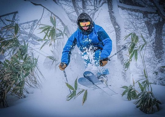 Ski Level