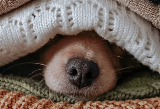 Wrap Up Warm