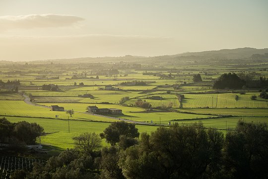 Landscapes