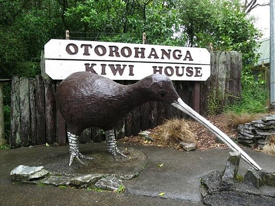 Visit Otorohanga Kiwi House