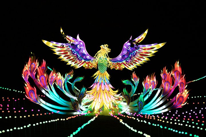 LightopiaFestivalMancSmgalleryimg5