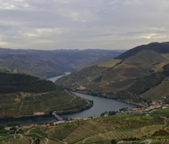 THE DOURO VALLEY
