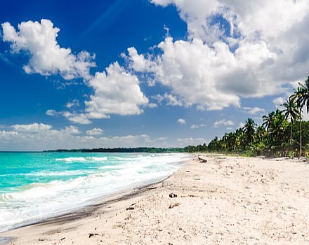 Caribbean Coast