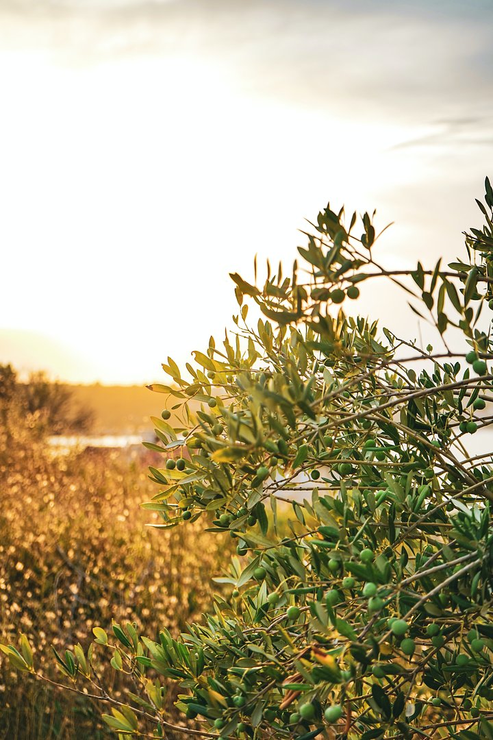 frankalbrecht7YuGOccXtn8unsplash1