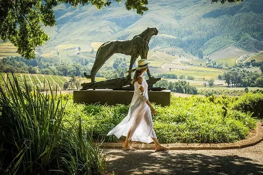 Secrets of Stellenbosch 
