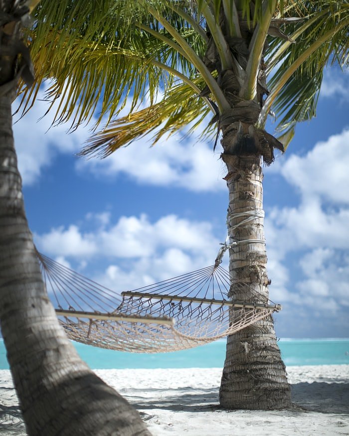 hammock