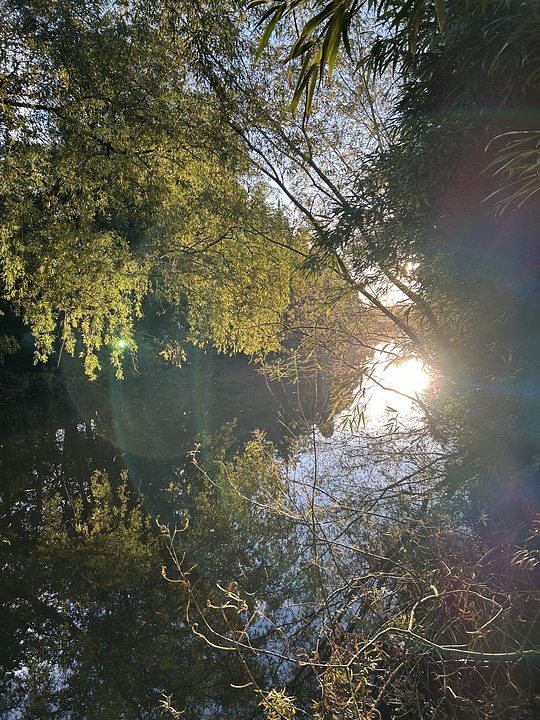 Whitby Sauna By The River