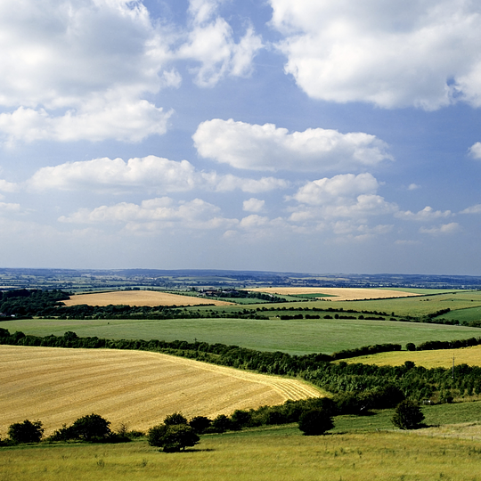 Explore Chiltern Hills