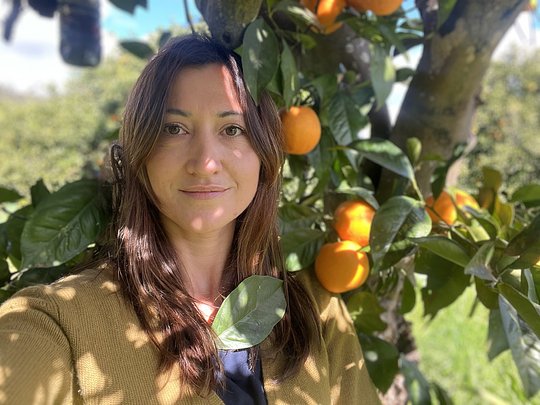 ORANGEPICKING