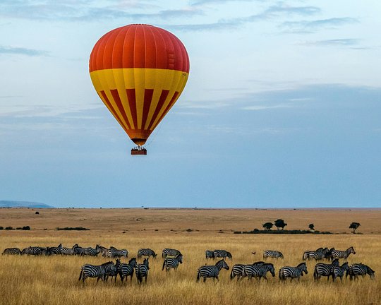Enjoy a Safari Post Climb