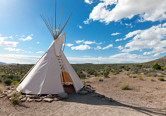 Quirky Tee Pees