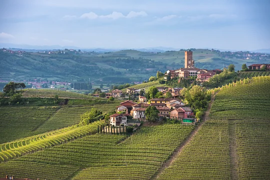 Tour a family-run Carnaroli rice farm in the hills of Piedmont