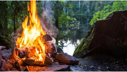 Firewood Bundle