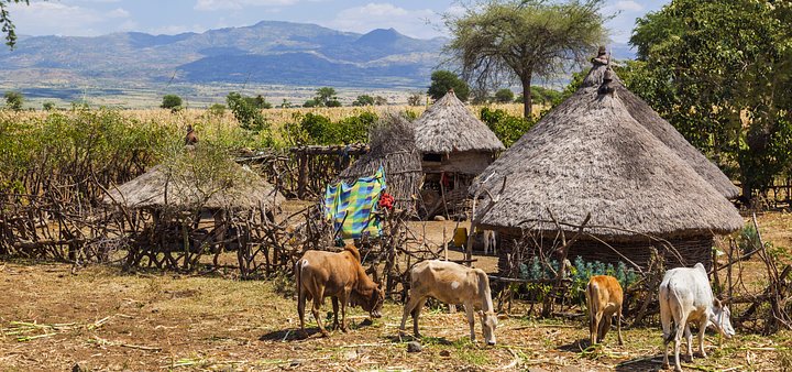 The Ethiopia Experience