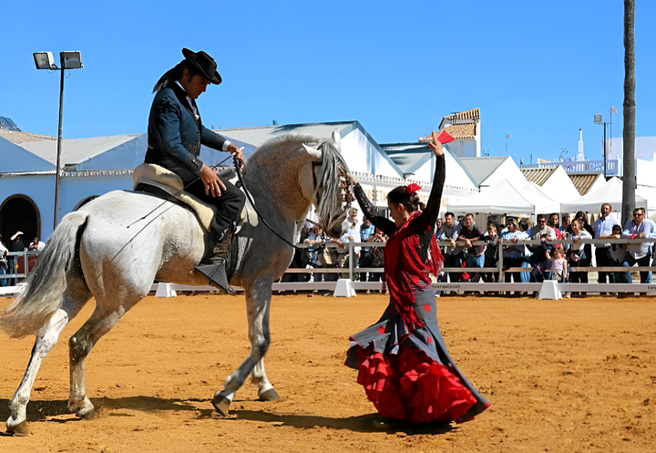 Capturadepantalla20251125215155