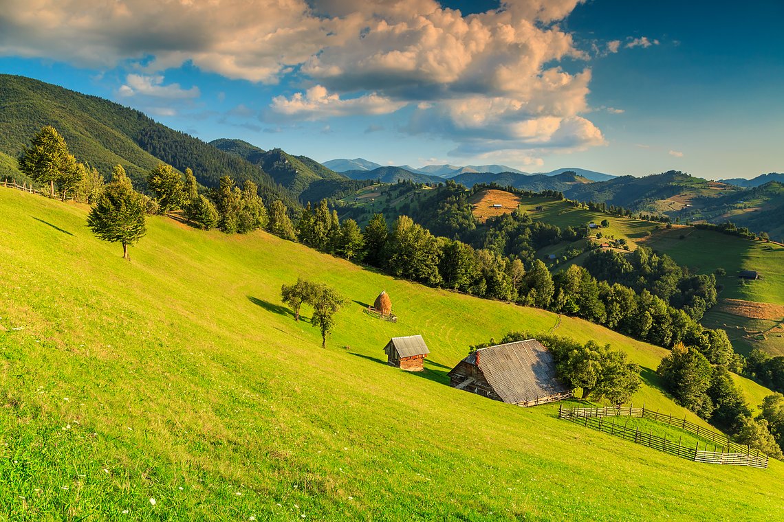 iStock486607506