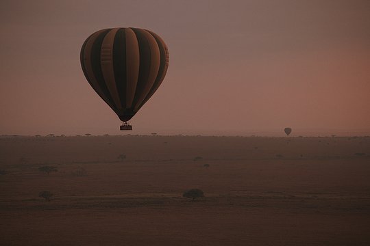 Balloon Safari