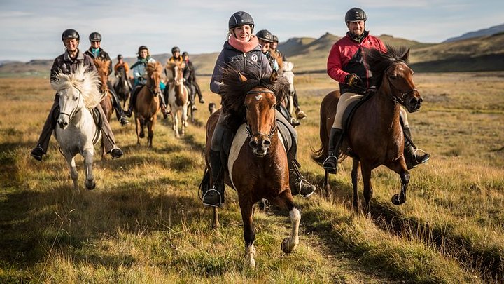 horseriding