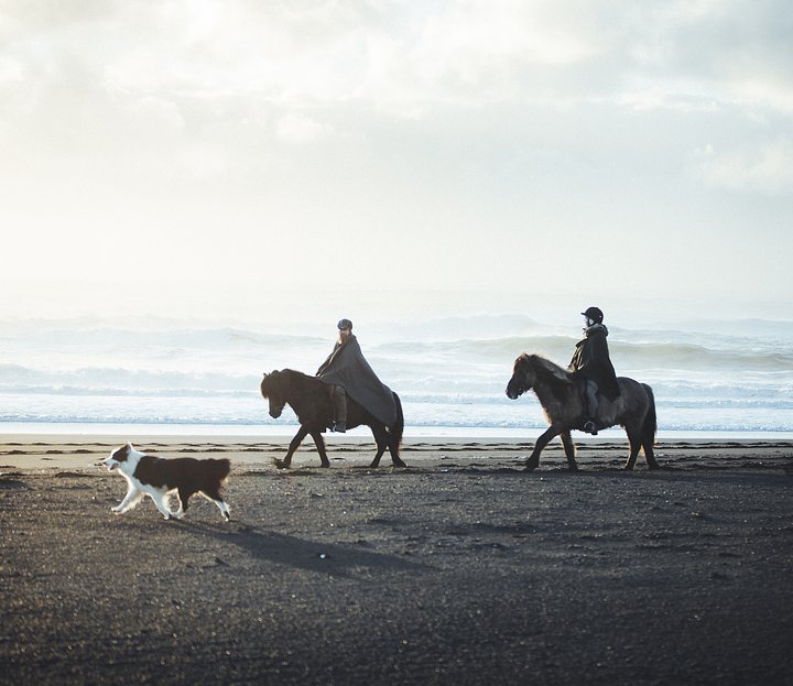 Horsebackriding (12th August, flight must arrive before 11am)