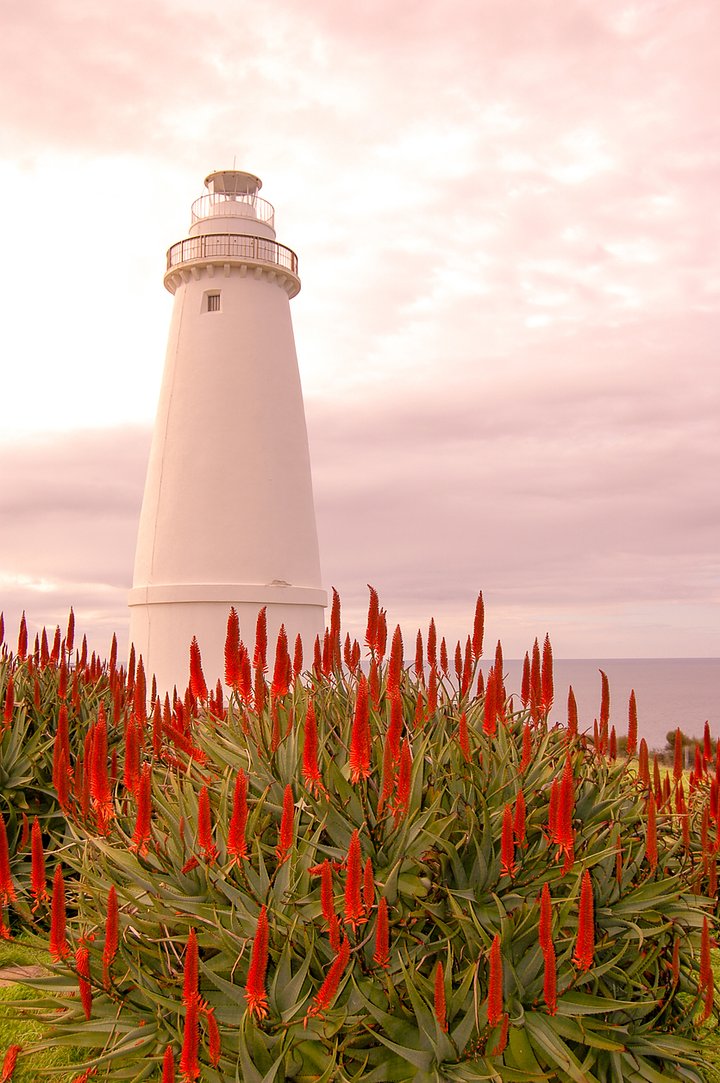 iStock900735068