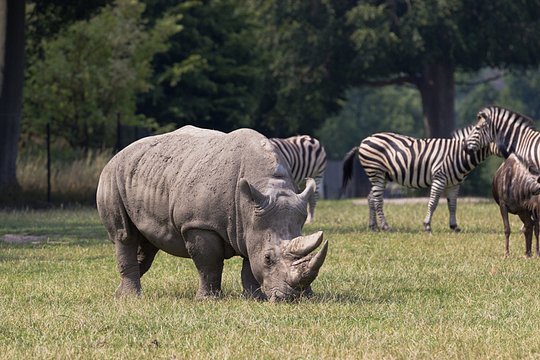 Trip Extension Safari to Akagera National Park - Shared Room