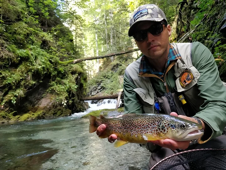 mountainhybriddryfly