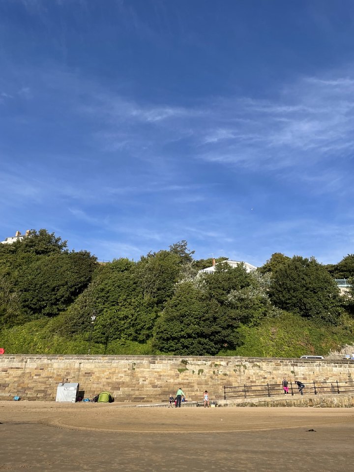 scarbados11.4